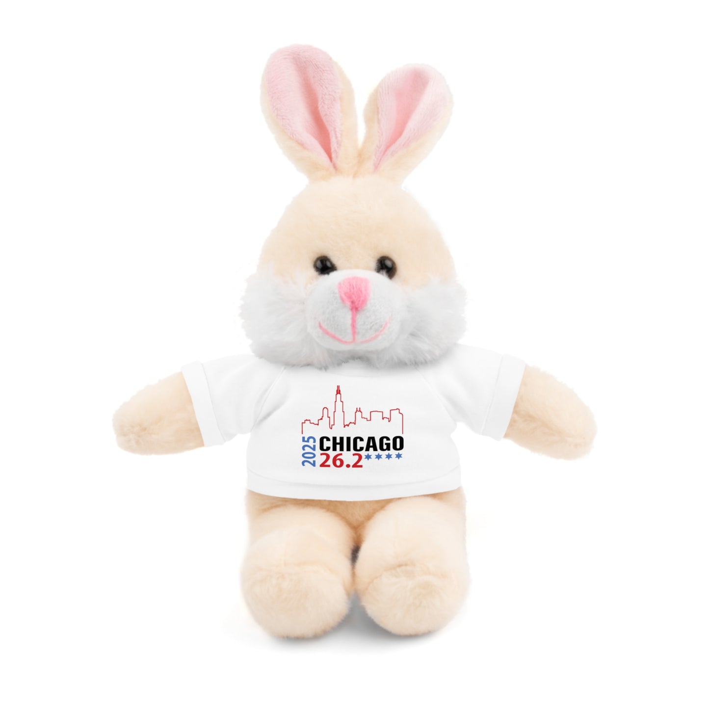Chicago Marathon Finishers Stuffed Bear, Personalized Gift, Collector's Item, Cute Prize for Kids, Teddy Bear with Tee