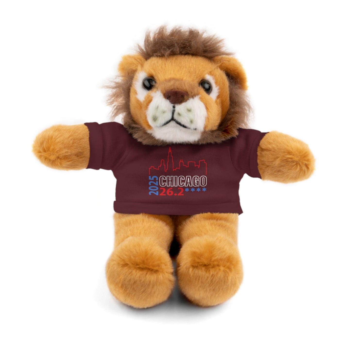 Chicago Marathon Finishers Stuffed Bear, Personalized Gift, Collector's Item, Cute Prize for Kids, Teddy Bear with Tee