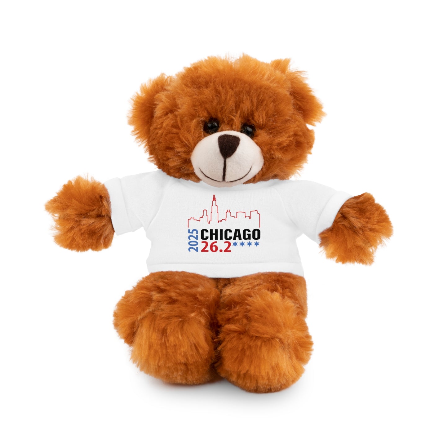 Chicago Marathon Finishers Stuffed Bear, Personalized Gift, Collector's Item, Cute Prize for Kids, Teddy Bear with Tee
