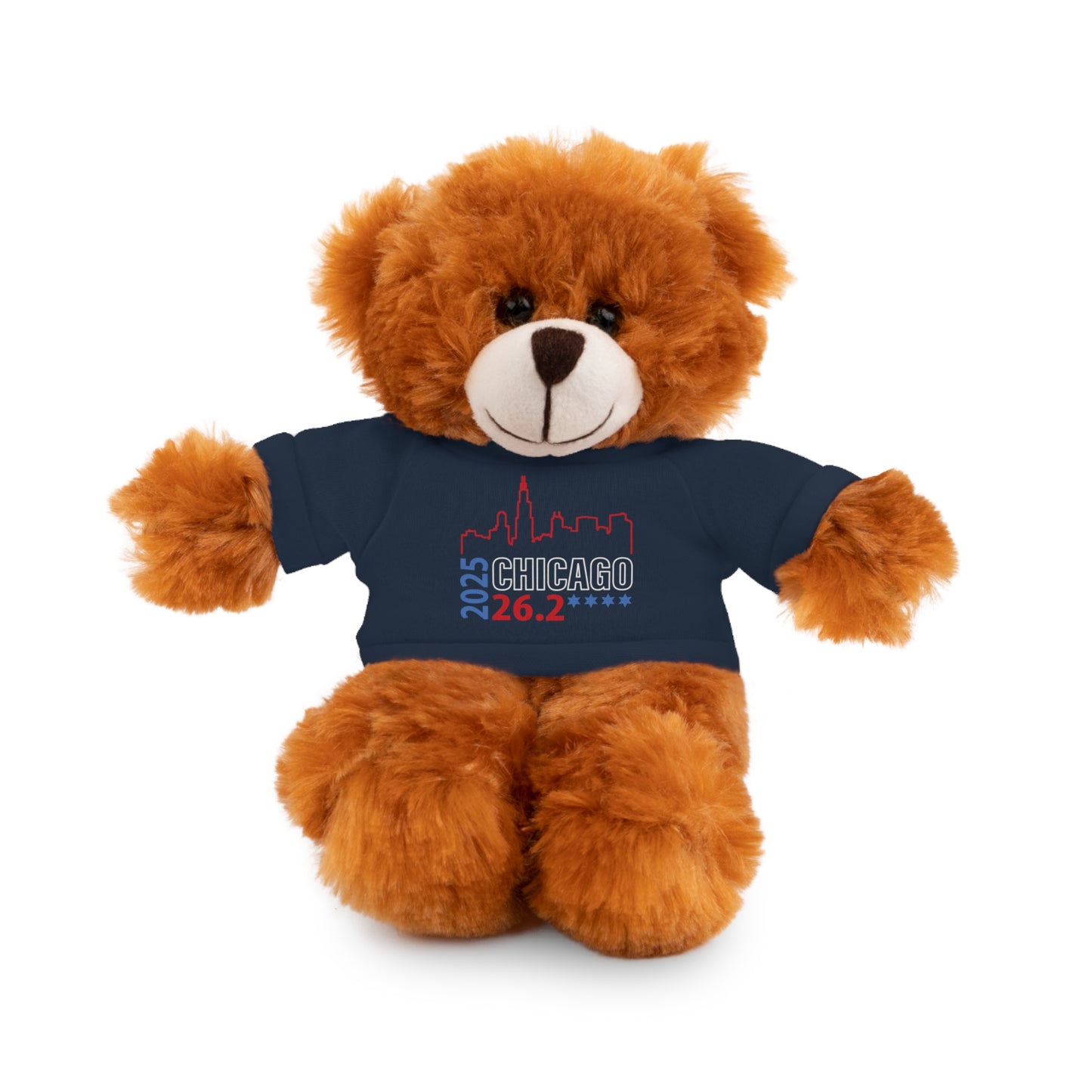 Chicago Marathon Finishers Stuffed Bear, Personalized Gift, Collector's Item, Cute Prize for Kids, Teddy Bear with Tee