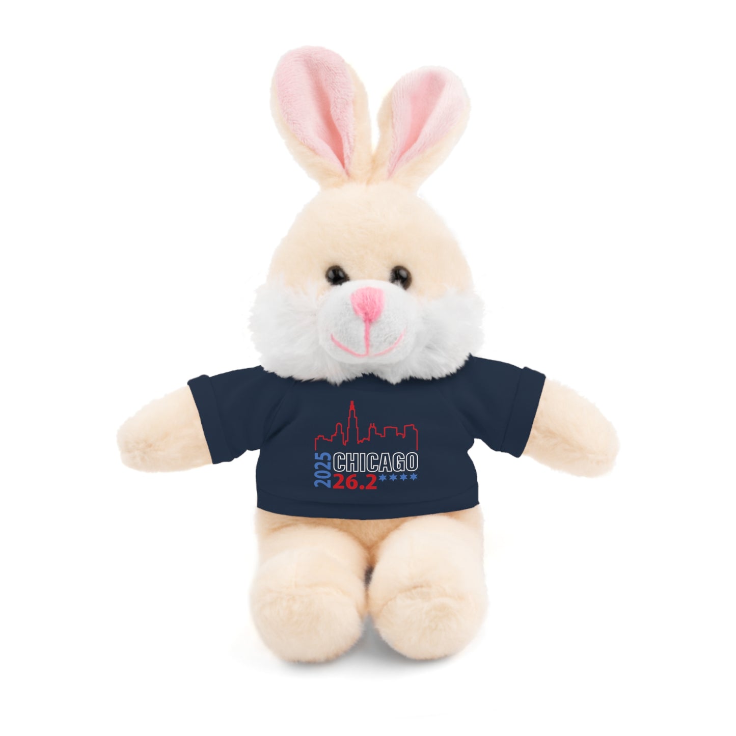 Chicago Marathon Finishers Stuffed Bear, Personalized Gift, Collector's Item, Cute Prize for Kids, Teddy Bear with Tee