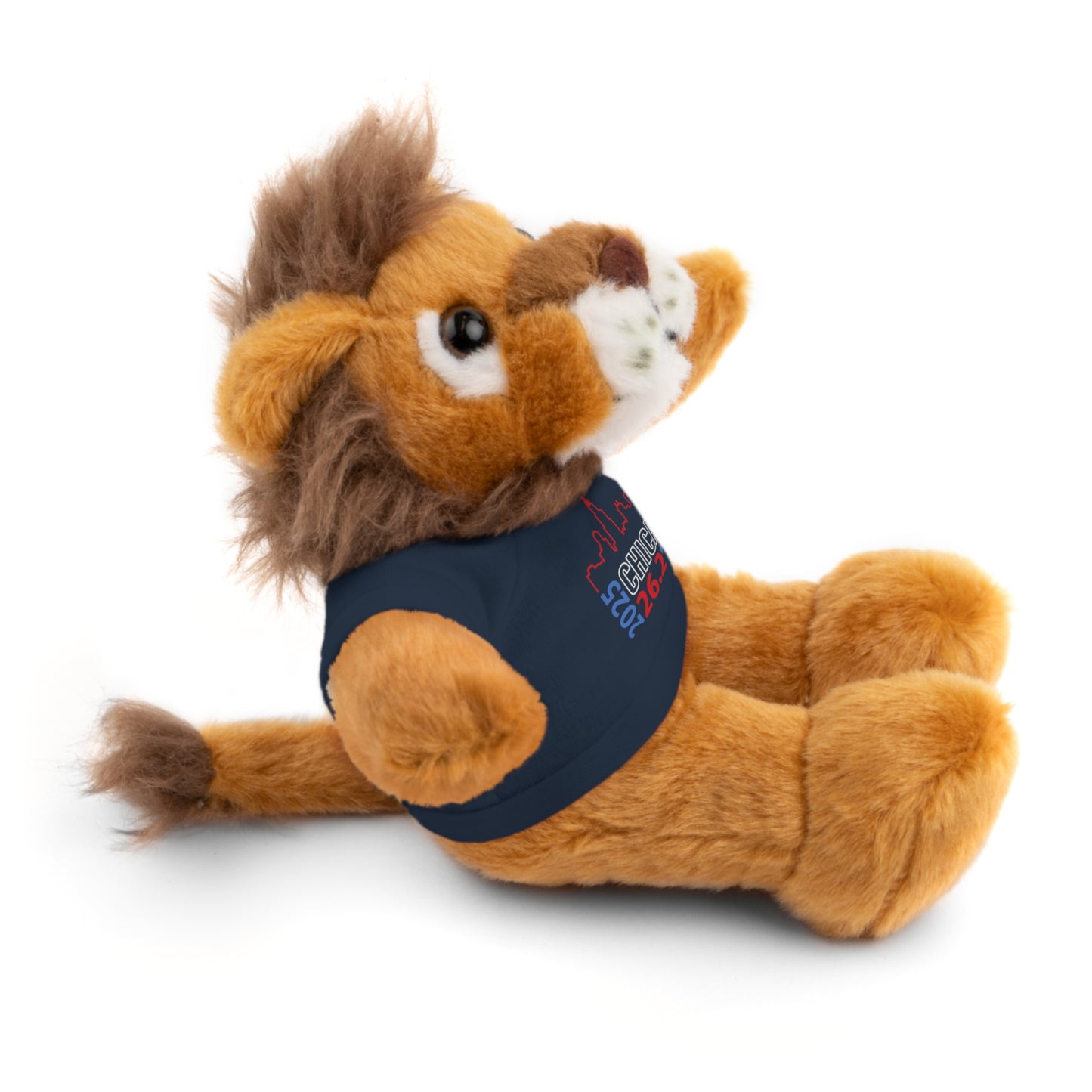 Chicago Marathon Finishers Stuffed Bear, Personalized Gift, Collector's Item, Cute Prize for Kids, Teddy Bear with Tee