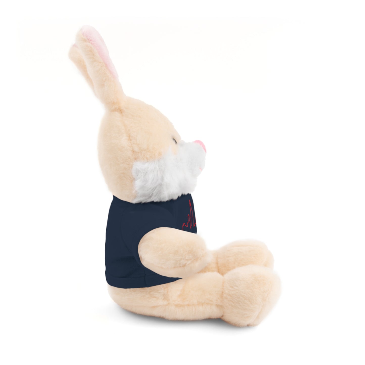 Chicago Marathon Finishers Stuffed Bear, Personalized Gift, Collector's Item, Cute Prize for Kids, Teddy Bear with Tee