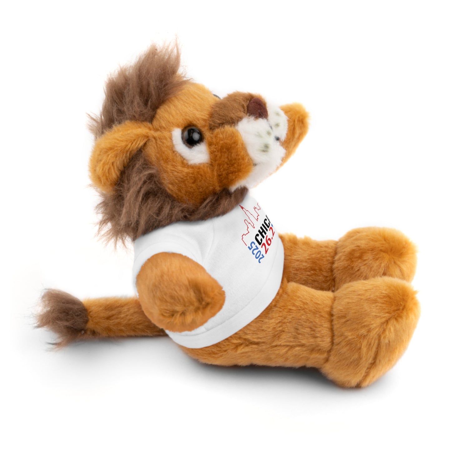 Chicago Marathon Finishers Stuffed Bear, Personalized Gift, Collector's Item, Cute Prize for Kids, Teddy Bear with Tee