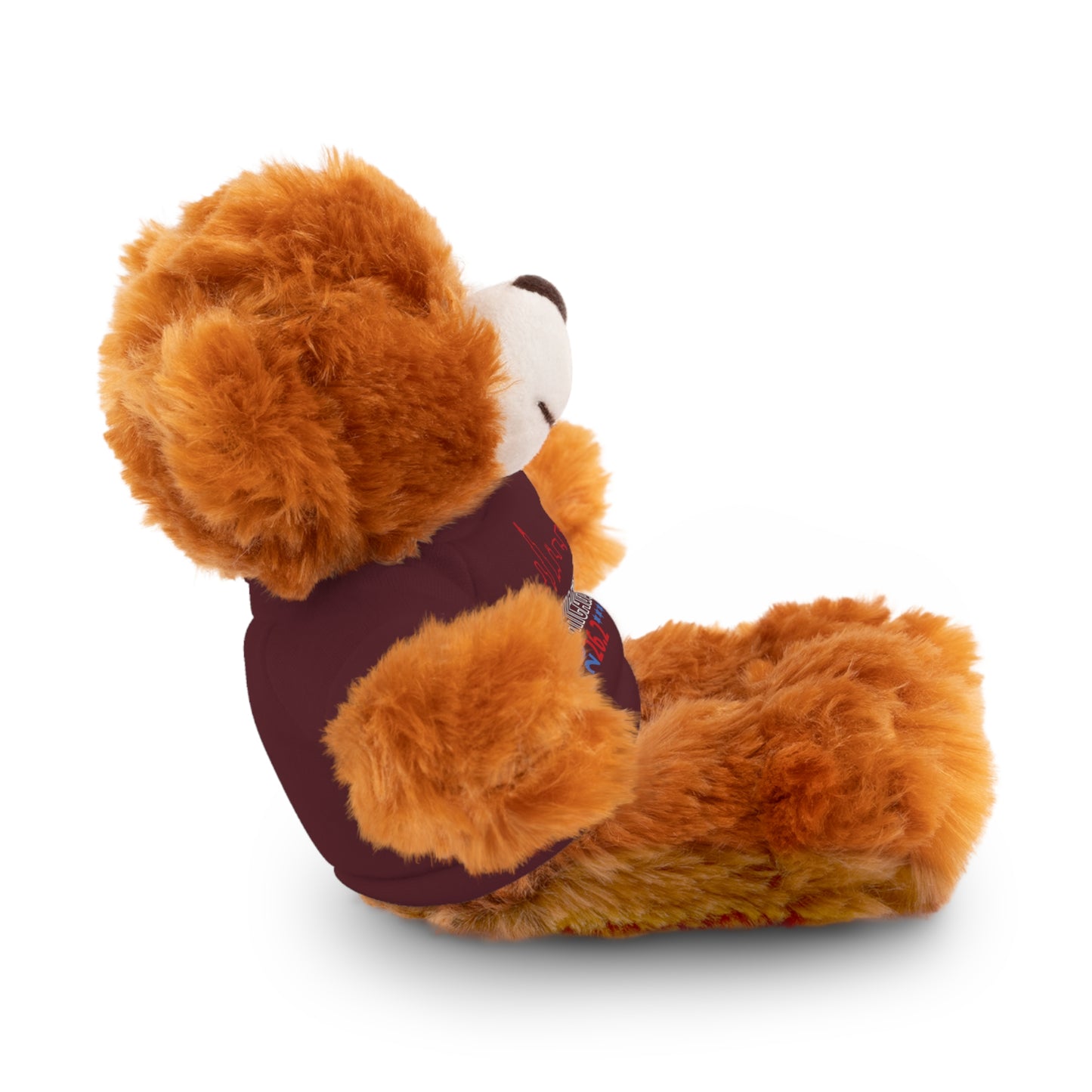 Chicago Marathon Finishers Stuffed Bear, Personalized Gift, Collector's Item, Cute Prize for Kids, Teddy Bear with Tee