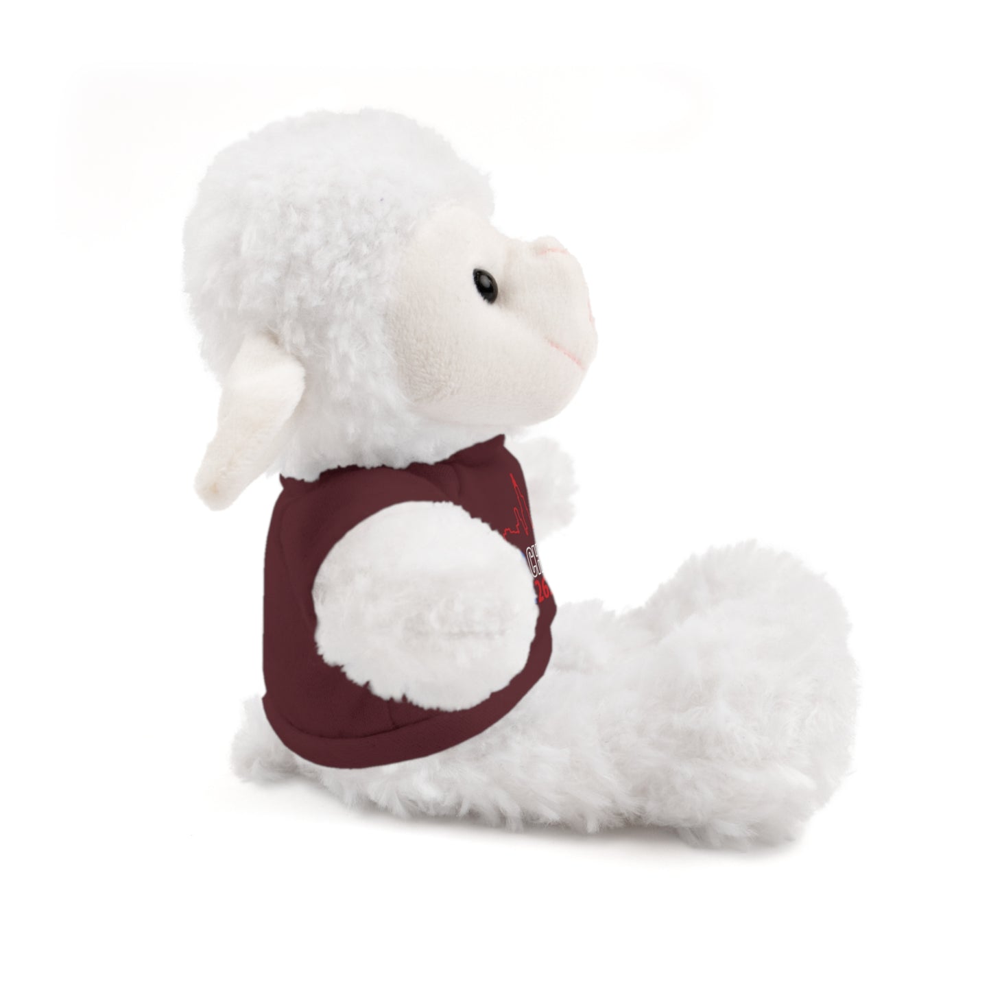 Chicago Marathon Finishers Stuffed Bear, Personalized Gift, Collector's Item, Cute Prize for Kids, Teddy Bear with Tee