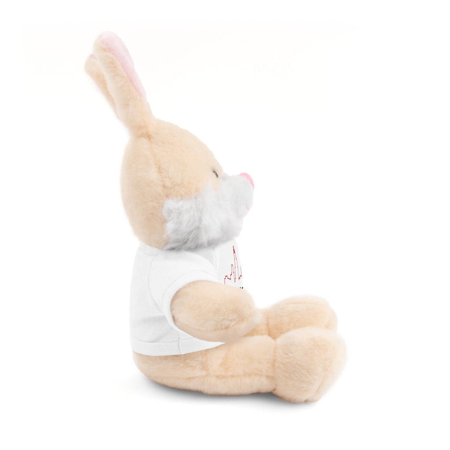 Chicago Marathon Finishers Stuffed Bear, Personalized Gift, Collector's Item, Cute Prize for Kids, Teddy Bear with Tee