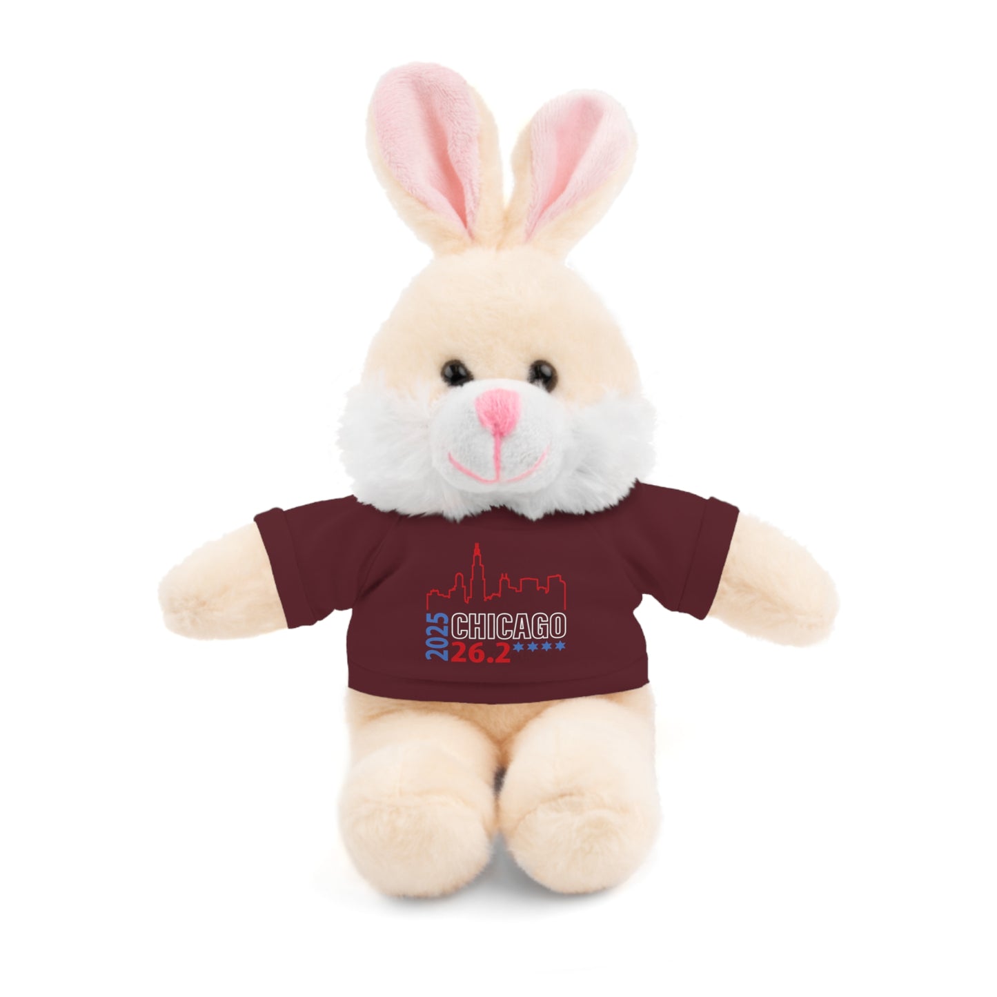 Chicago Marathon Finishers Stuffed Bear, Personalized Gift, Collector's Item, Cute Prize for Kids, Teddy Bear with Tee