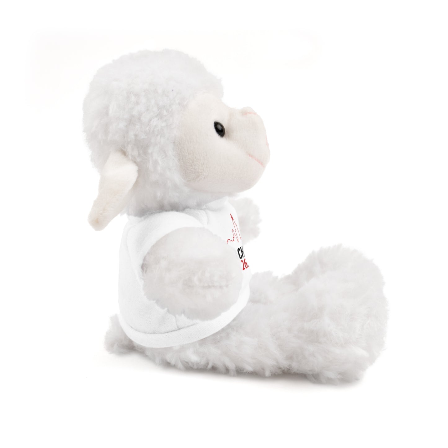Chicago Marathon Finishers Stuffed Bear, Personalized Gift, Collector's Item, Cute Prize for Kids, Teddy Bear with Tee