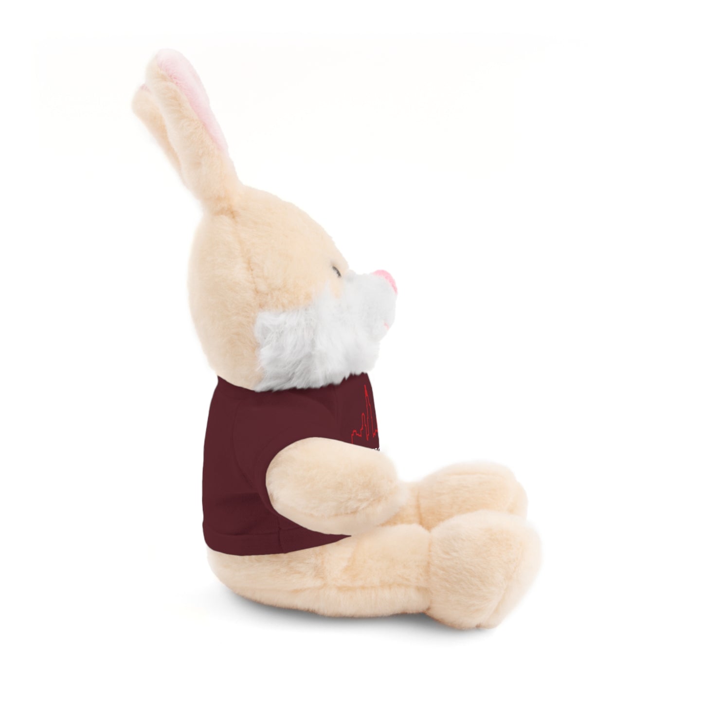 Chicago Marathon Finishers Stuffed Bear, Personalized Gift, Collector's Item, Cute Prize for Kids, Teddy Bear with Tee