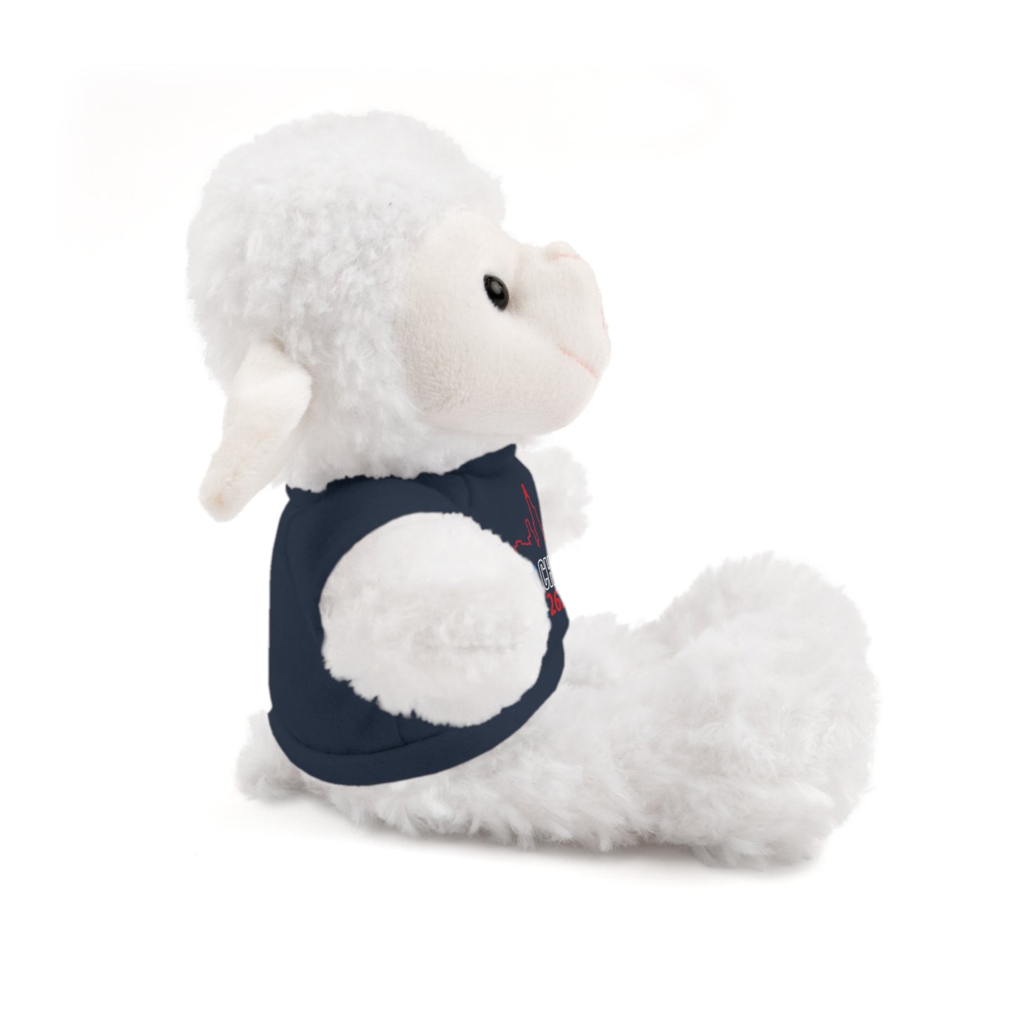 Chicago Marathon Finishers Stuffed Bear, Personalized Gift, Collector's Item, Cute Prize for Kids, Teddy Bear with Tee
