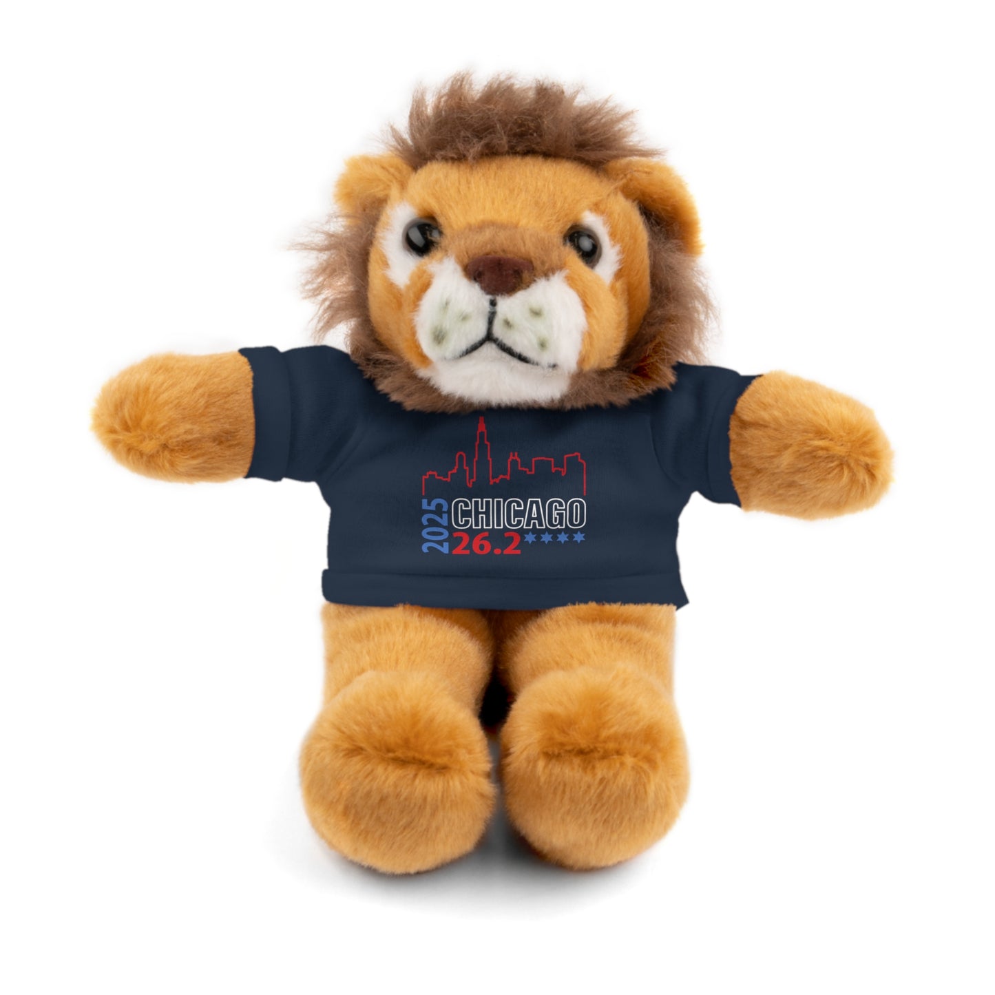 Chicago Marathon Finishers Stuffed Bear, Personalized Gift, Collector's Item, Cute Prize for Kids, Teddy Bear with Tee