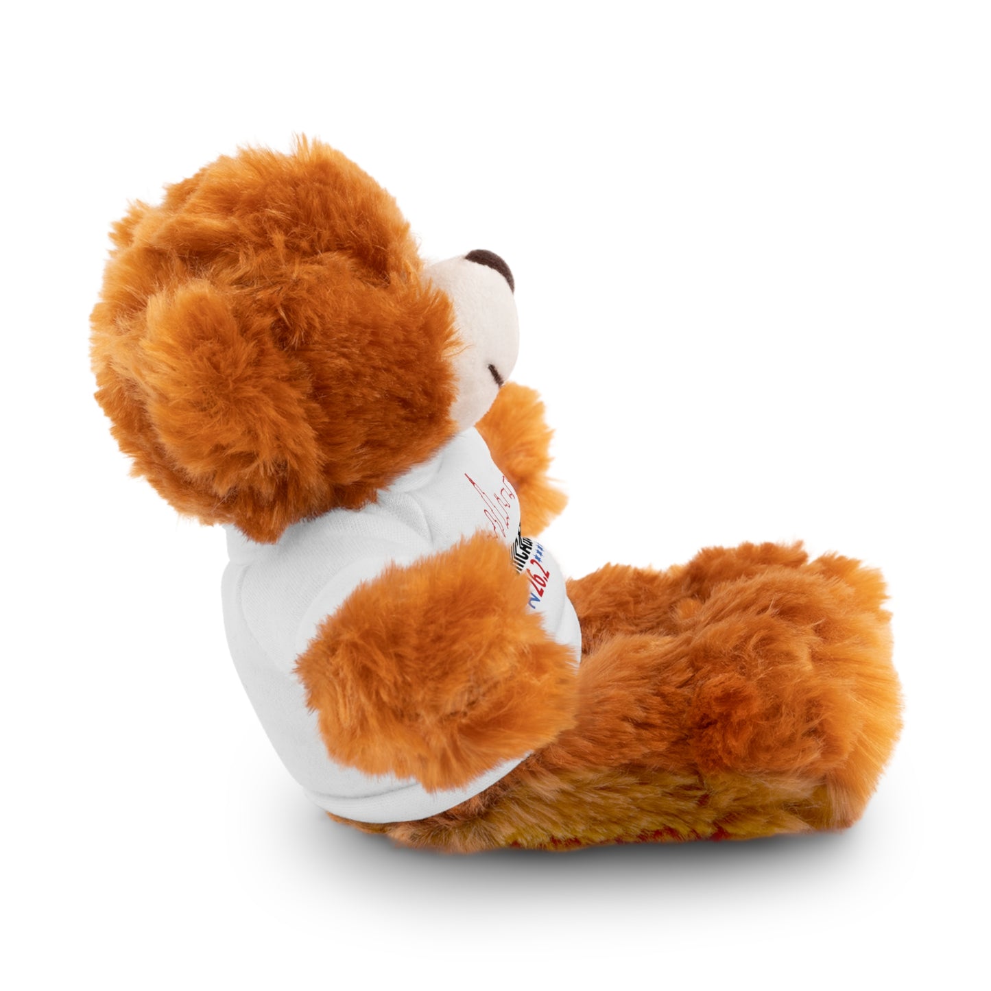 Chicago Marathon Finishers Stuffed Bear, Personalized Gift, Collector's Item, Cute Prize for Kids, Teddy Bear with Tee