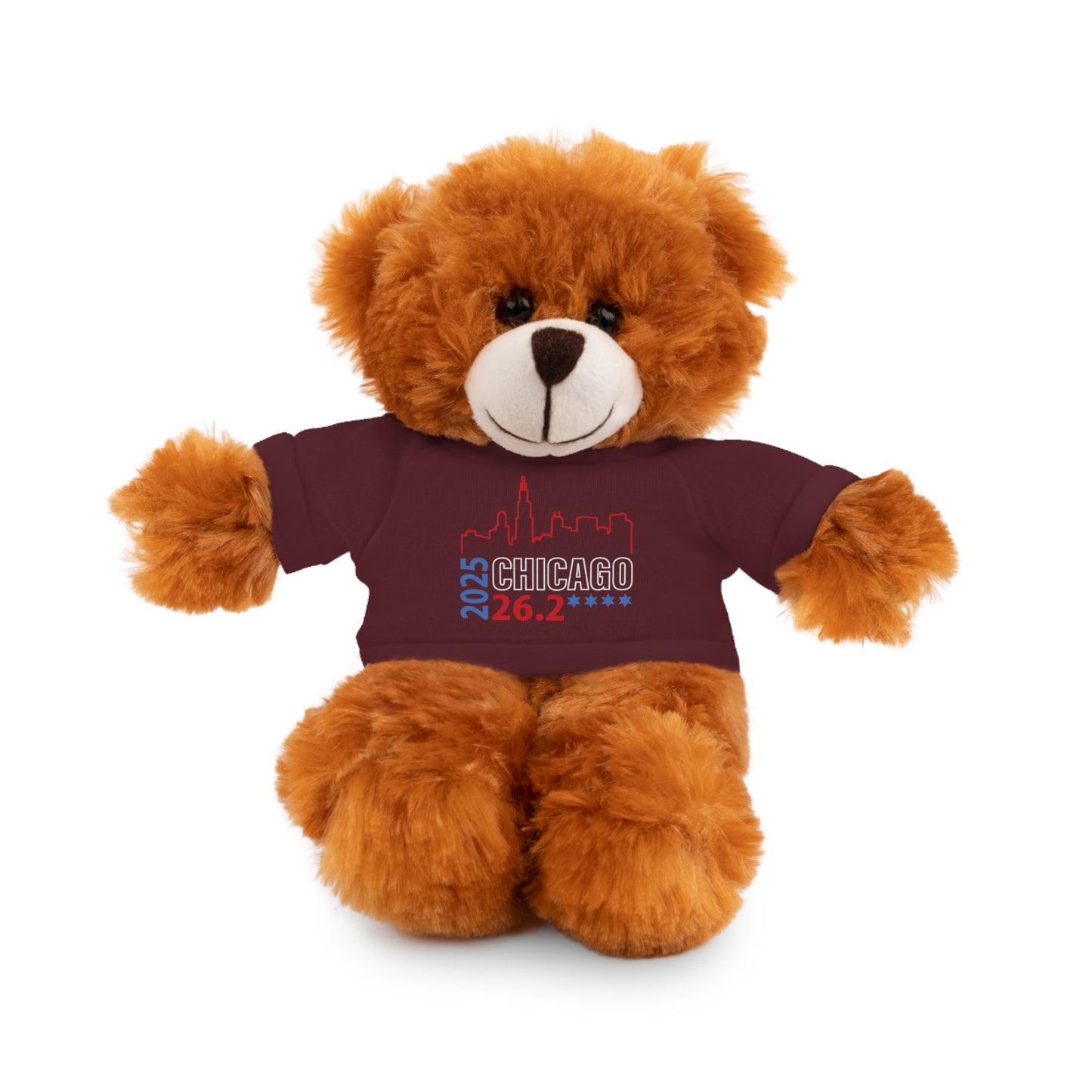 Chicago Marathon Finishers Stuffed Bear, Personalized Gift, Collector's Item, Cute Prize for Kids, Teddy Bear with Tee
